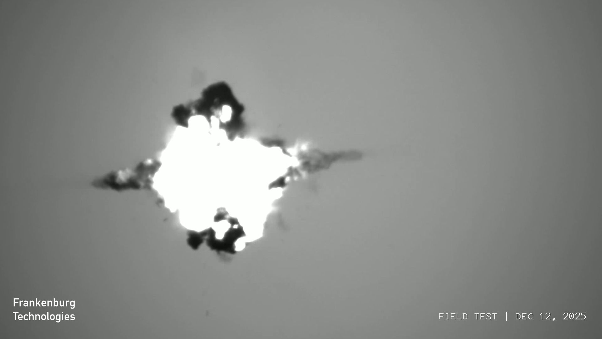 Frankenburg Technologies