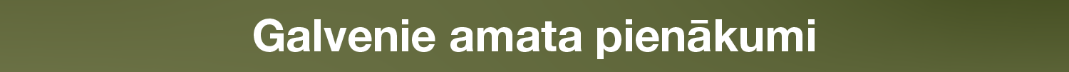Galvenie amata pienākumi: