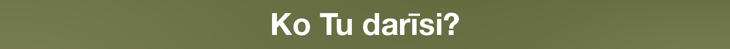 Uzsaukums pie vakances "Ko Tu darīsi?"