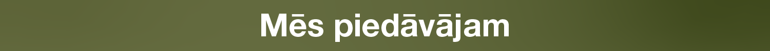 Mēs piedāvājam
